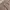 Carhartt Streetwear Y2K Casual pants Pria multicolor photo 5
