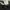 Nike Streetwear Sportswear Pria black photo 5