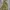Columbia Gorpcore Sportswear Track Jacket Pria Multicolor Tan