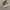 Nike Luxury Minimalist Sneakers Pria white brown photo 1