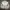 Spao Vintage Sportswear Windbreaker Pria white gray photo 1
