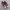 Nike Streetwear Casual Sneakers Pria multicolor photo 3