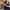 Adidas Streetwear Casual Sneakers Pria white black photo 6