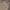 LAINE Vintage Casual shirt Pria tan gray photo 2