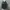ZARA Casual Parka Wanita navy black photo 2