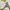Casual Crop top Wanita white photo 1