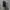 ZARA Biker Casual Bomber jacket Pria black photo 3