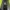 Balenciaga Streetwear Luxury Windbreaker Pria green black photo 6