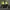 Balenciaga Streetwear Luxury Windbreaker Pria green black photo 1