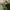 The North Face Sportswear Casual T-shirt Pria green photo 2