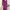 Vintage Wrap dress Wanita purple black photo 3