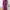 Vintage Wrap dress Wanita purple black photo 2
