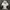 LMC Vintage Sportswear Windbreaker Pria white black photo 2