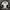 LMC Vintage Sportswear Windbreaker Pria White Black