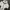 LMC Vintage Sportswear Windbreaker Pria white black photo 3