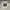 LMC Vintage Sportswear Windbreaker Pria white black photo 7