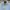 Nike Y2K Sportswear Windbreaker Wanita blue photo 3
