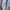 Nike Y2K Sportswear Windbreaker Wanita blue photo 4