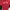 Fred Perry Casual Pria red photo 1