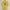 VANS Streetwear T-shirt Pria yellow photo 1