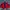 Daniel Hechter Vintage Casual Bomber jacket Pria red photo 4