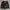Eddie Bauer Vintage Casual Windbreaker Pria black photo 5