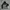 Burberry Casual Parka Pria navy black photo 1