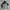 Burberry Casual Parka Pria navy black photo 4