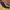 Puma Streetwear Sportswear Tracksuit Pria navy photo 2
