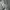 DC Shoes Streetwear Y2K Hoody Pria gray photo 4
