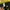 Puma Streetwear Sportswear Tracksuit Pria black yellow photo 7