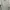 ZARA Minimalist Casual Bomber jacket Pria green photo 5