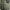 ZARA Minimalist Casual Bomber jacket Pria green photo 4