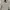 ZARA Minimalist Casual Bomber jacket Pria green photo 1