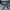 Streetwear Sportswear Crop top Wanita gray photo 3