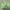 Streetwear Sportswear Bra Wanita green photo 1