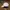 Nike Vintage Sportswear Hat Pria white photo 2