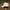 Nike Vintage Sportswear Hat Pria White