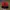 Adidas Vintage Sportswear Hat Pria red black photo 1