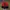 Adidas Vintage Sportswear Hat Pria Red Black