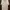 Casual Polo shirt Pria white photo 1