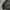 ZARA Streetwear Casual Puffer jacket Wanita black photo 3