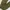 GU Casual Pria green photo 6
