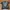 Vintage Streetwear T-shirt Pria navy black photo 1