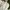 Gucci Y2K Sportswear Sneakers Wanita white photo 6