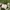 Gucci Y2K Sportswear Sneakers Wanita white photo 7