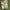 Gucci Y2K Sportswear Sneakers Wanita white photo 3