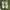 Gucci Y2K Sportswear Sneakers Wanita white photo 2