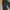 Vintage Streetwear Sweatpants & Joggers Pria black photo 6