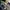 True Religion Lolita Casual Jeans Pria multicolor photo 8